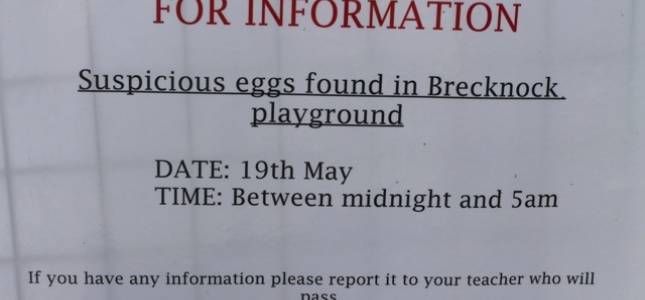 brecknock-egg-mystery-day-1-176